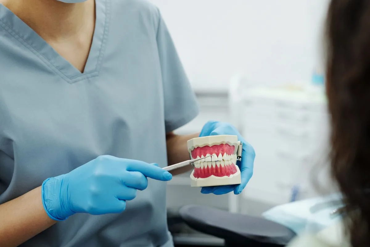Profesional explicando sobre un modelo dental las diferencias entre limpieza, curetaje dental y cirugía periodontal